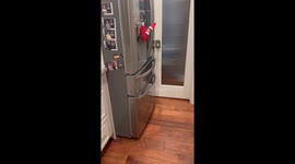 Elf on the Shelf's Icemaker Surprise