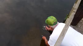 The Fish Whisperer