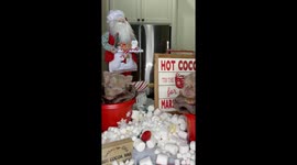 French Bulldog Puppy Hot Cocoa Bar