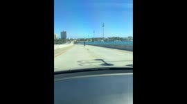 Standing Backward on a Moving Motorcycle