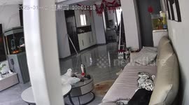 4.8-magnitude earthquake hits northwest China's Ningxia