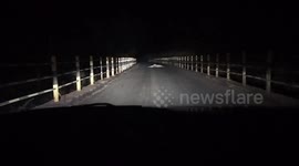 Leopard seen dragging away calf on road in India