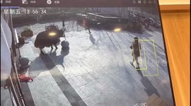 Woman gored by yak caught on security video in Henan, China
