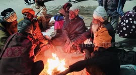 India: Winter weather in Prayagraj
