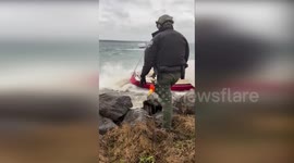 US: Coast Guard Rescues Man and Dog from Grounded Sailboat