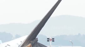 South Korea: Investigations into cause of South Korean plane crash underway