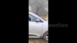 Palestine: Israeli settler mobs stormed the town of Silwad, east of Ramallah, and attacked Palestinian vehicles and properties