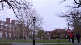 US: Colleges advise some international students to return to U.S. before Trump takes office