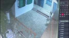 India: Fight between King Cobra and two dogs; Saved the life of the owner by sacrificing his life