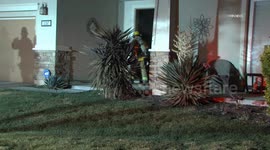 US, Los Angeles: Winchester Dog Rescued From Christmas Day Structure Fire