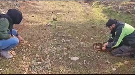 Syria: Volunteer Soldiers Clear Mines in Idlib Countryside