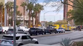 US: Las Vegas police looking for links between Cybertruck blast