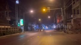 Police catch escaped buffaloes frightened by fireworks
