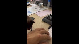 Cute kitten takes a nap in owner's palm