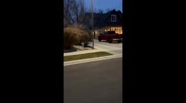 Neighbor's Overcompensating Christmas Lights