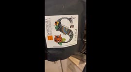 Exclusive- From café to kitchen: Pouring a swan on a flat white