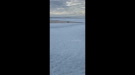 Bowhead Whale Spotted Up Close