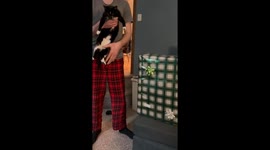 Exclusive- Unwrap with claws: The cat-astrophic Christmas helper