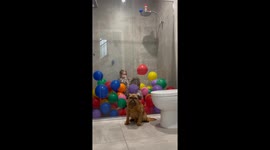 Unimpressed by Pure Joy