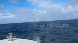Türkiye intercepts 55,726 illegal immigrants on its seas in 2024