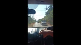 Runaway ostrich sprints along road in Thailand