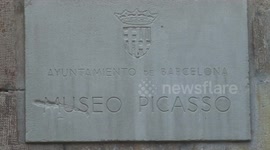 Spain's Picasso Museum welcomes 1.13 mln visitors in 2024