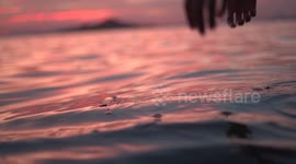 Pregnant belly baby, expecting mother belly at the beach during sunset relaxing