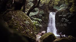 Waterfall in Sao Miguel, Azores. Track of water fall amidst beautiful nature . Tourists hike, trail pathway and routes following river.