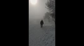 Couple walking through mystical and foggy Black Forest winter landspace.