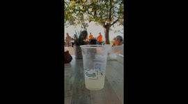 Plenty of wasps attacking a cold lemon drink at the beach of Lago di Garda.