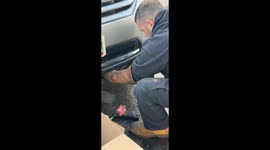 Man Gently Rescues Owl Stuck in SUV Grill