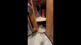 Hank Hides In Lazy Susan for a Nap