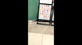 Raccoon Going Shopping