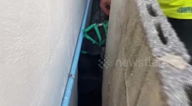 Pregnant stray dog stuck in narrow gap between house and wall rescued