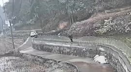 Huge fishpond made of wood instead of steel collapses in China