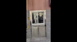 Clever cat opens window to escape in Jiangsu, China