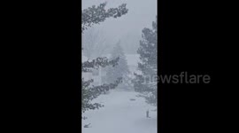 US: Heavy Snow Blankets Northeast Ohio As Lake-Effect Snow Warning Issued