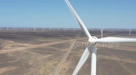 Experts highlight green development as key driver for China's future economic growth