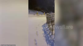 North Yorkshire blanketed in snow as heavy snowfall disrupts travel across Britain