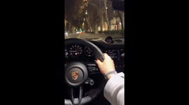 Exclusive- Lion cub cruising in Dubai