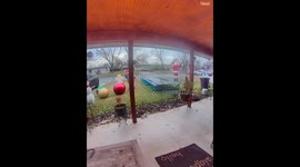 Police Chase Through Christmas Decorations