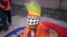 India: An Indian Sadhu cultivating wheat on his head
