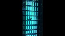 bug zapper