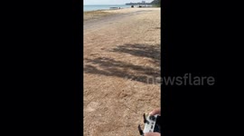 The Great Drone Escape: A Rookie's Wild Ride, from panic to peace, my unforgettable drone first flight adventure.