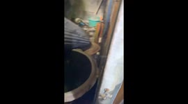Snake leviathan caught in family's ceiling in Thailand