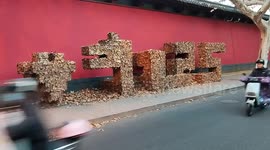China: Leaf Sculpture 2025 in Hangzhou