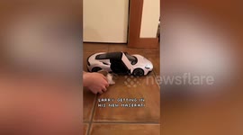 Hamster jumps into tiny sports car for a joy ride