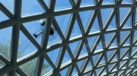 When window cleaners become part of the floral art—nature and labor in perfect harmony.