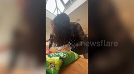 Mouse gets into chocolate stash and nibbles through box of Celebrations