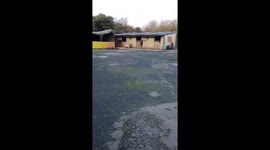Pack of Dachshunds Playing With a Giant Ball